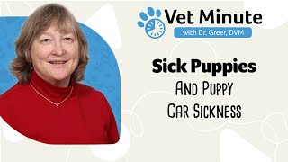Vet Minute: Sick Puppy and Motion Sickness