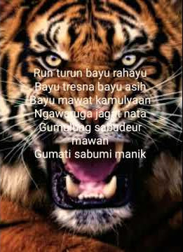 Sima aing sima maung