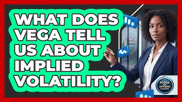 What Does Vega Tell Us About Implied Volatility?