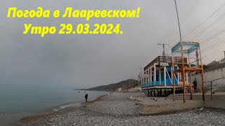 Погода в Лазаревском 29.03.2024. Утро на морской звезде! 🌴ЛАЗАРЕВСКОЕ СЕГОДНЯ🌴СОЧИ.