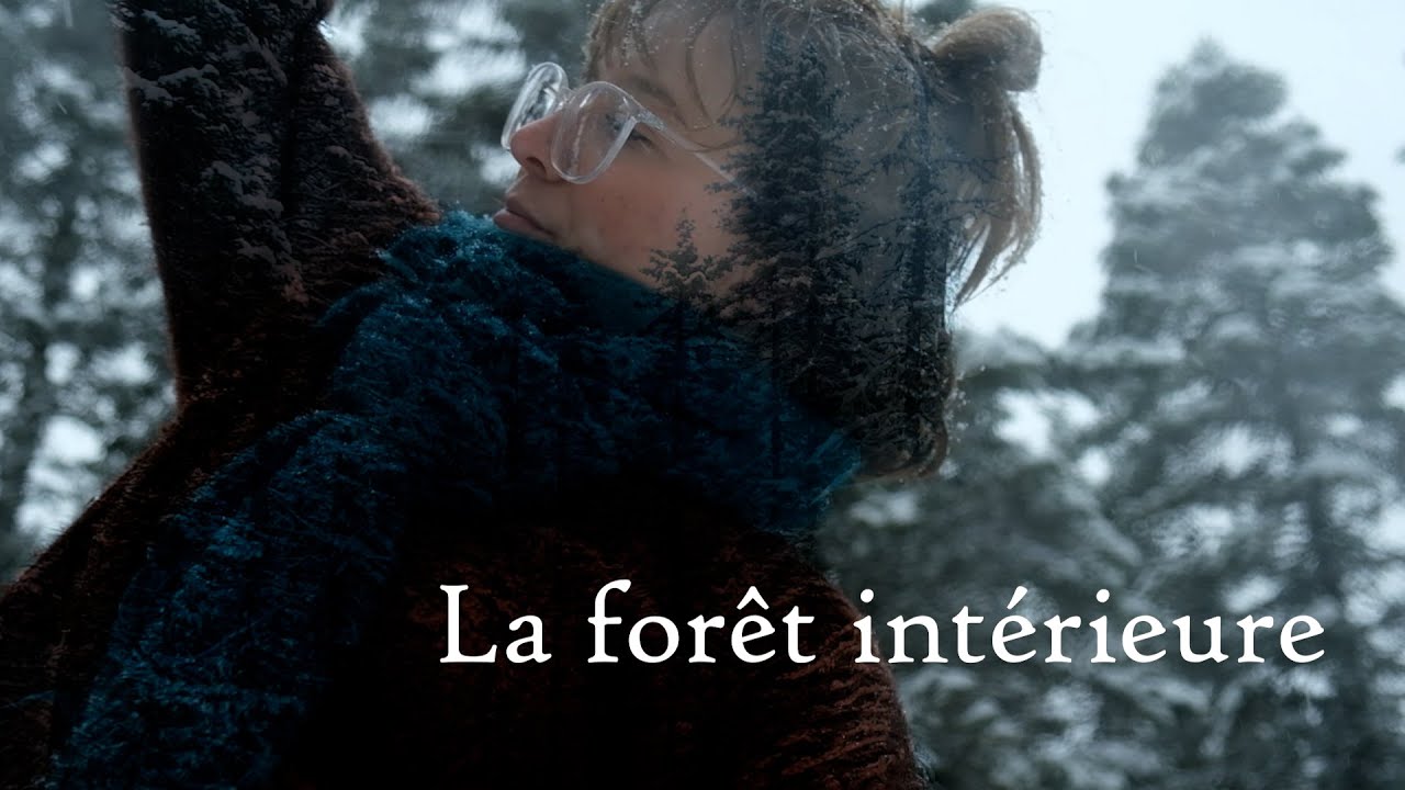 LA FORÊT INTERIEURE - court-métrage documentaire