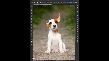 How to Use Clone Stamp Tool - Photoshop Tutorial