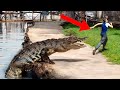 Scary Animal Encounters You Would Never Expect