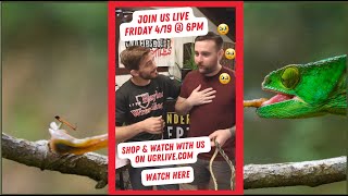 Underground Live: Friday Frog Frenzy!!