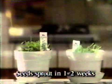 Chia Herb Garden 1991 Youtube