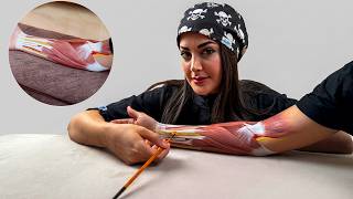 Relaxing Forearm Massage with Muscle &amp; Nerve Painting – Calming Anatomy Art