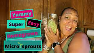 Home Grown Mason Jar Micro Sprouts |Organically Grown Superfood | Green Living | Healthy Food Choice
