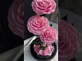 Premium ewige rosa Rosen im Glas - 3 langlebige Rosen in Glaskuppel mit Geschenkbox
