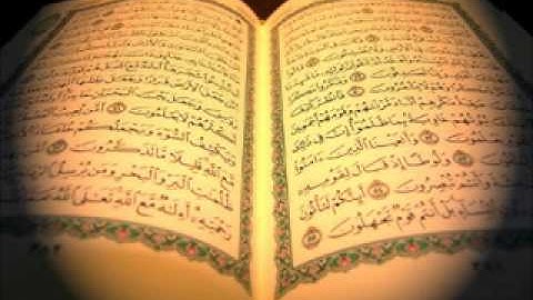 سورة الشرح / صلاح البدير