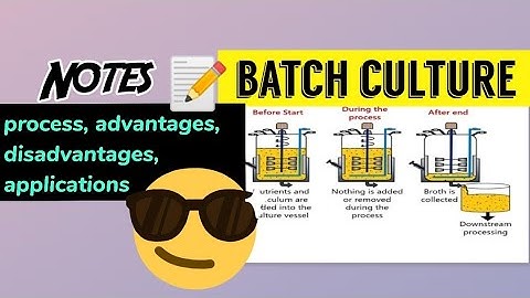 Batch culture ||process, advantages, disadvantages, Applications||Made easy 😎