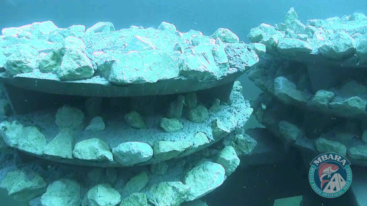 mexico primera division MB 202 Unnamed Reef 16 Oct 2016