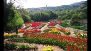 Никитский ботанический сад фото. Крым. Украина. Yalta. Ukraine. Crimea.(Никитский ботанический сад фото. Крым. Украина.Yalta. Ukraine. Crimea. Украина,города,Фото,видео Туризм,достопримеча..., 2015-01-10T08:16:28.000Z)