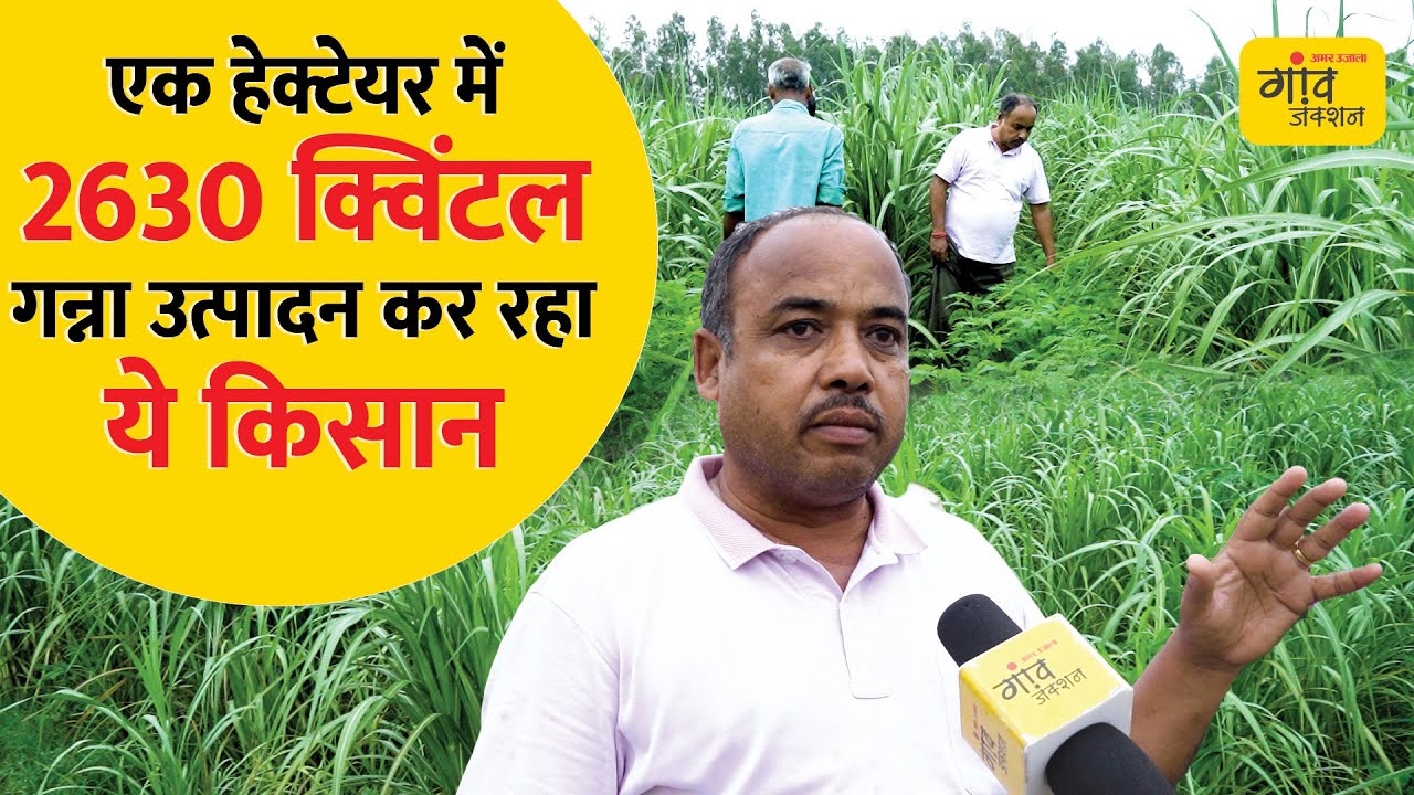 SUGARCANE FARMING: इस तकनीक से दोगुना होगा गन्ना उत्पादन |@gaonjunctionofficial | Gaon Junction LIVE