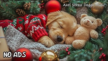 12 Hours of Dog Calming Music for Dogs 🔇 Quiet Time & Silent Night Vibes 🤫 No Ads