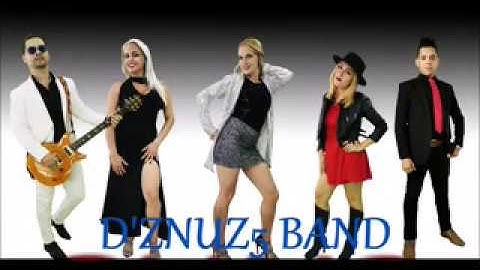 D ZNUZ 5 BAND WMV V9