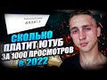 Вся правда Сколько Платит Ютуб за 1000 просмотров в 2022 году