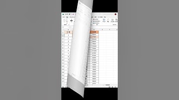 Excel格式刷的三种用法！太高效了吧！ #office办公技巧 #办公技巧 #excel #职场 #excel办公小技巧 #办公技巧 #excel技巧 #officesoftware