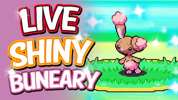 Live Shiny Buneary After A Chain Of 41 Via PokeRadar - Pokemon Platinum