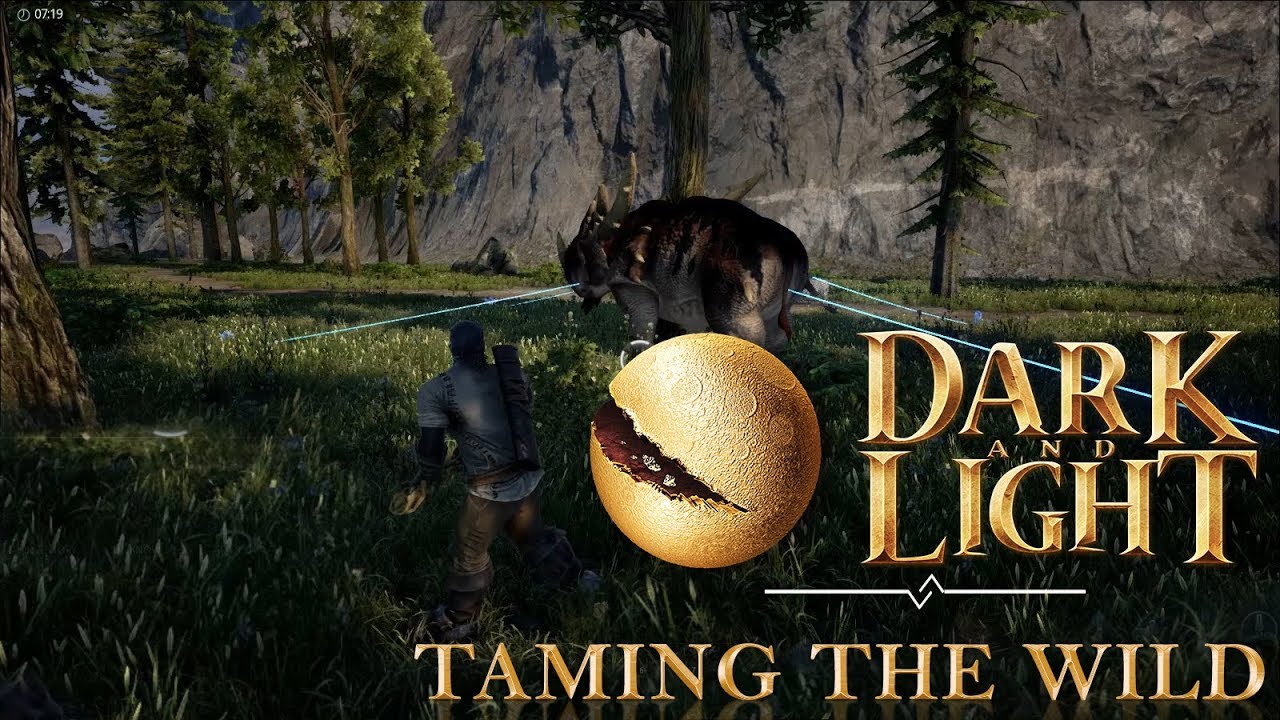 Dark and Light Basics - Taming the Wild