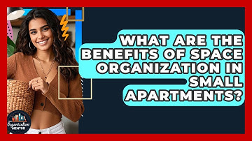 What Are the Benefits of Space Organization in Small Apartments? | Your Organization Mentor
