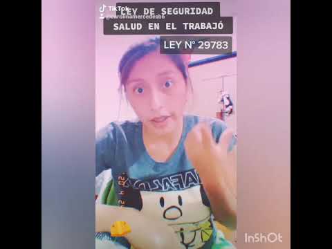 Ley 29783 SST