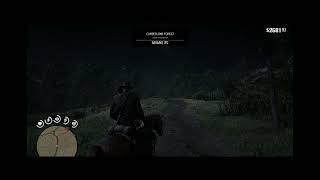 Unlock the Secret Locations for Wintergreen Berries in Red Dead Redemption 2!
