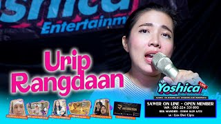 URIP RANGDAAN - Hj. YOSHICA - NUNGGU SAHUR BARENG YOSHICA - SELASA 26  MARET 2024
