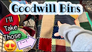 Thrift With Me at the Goodwill Bins | A Quick Trip But Found A Few Fun Things | Shopping For Resell