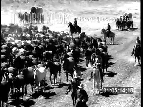 out-takes-from-"the-desperadoes",-1943