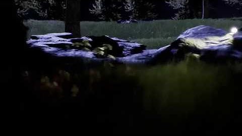 Forrest- Unreal Engine 4 scene