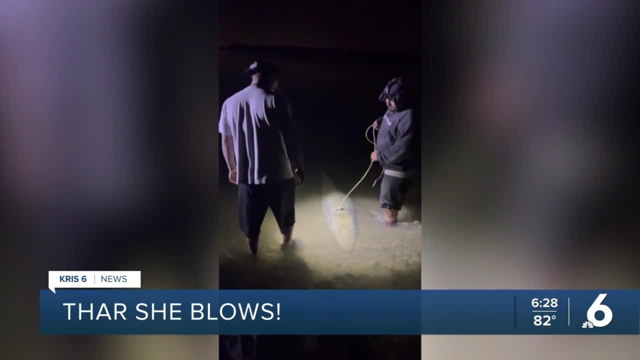 Record alligator gar caught at Choke Canyon Reservoir