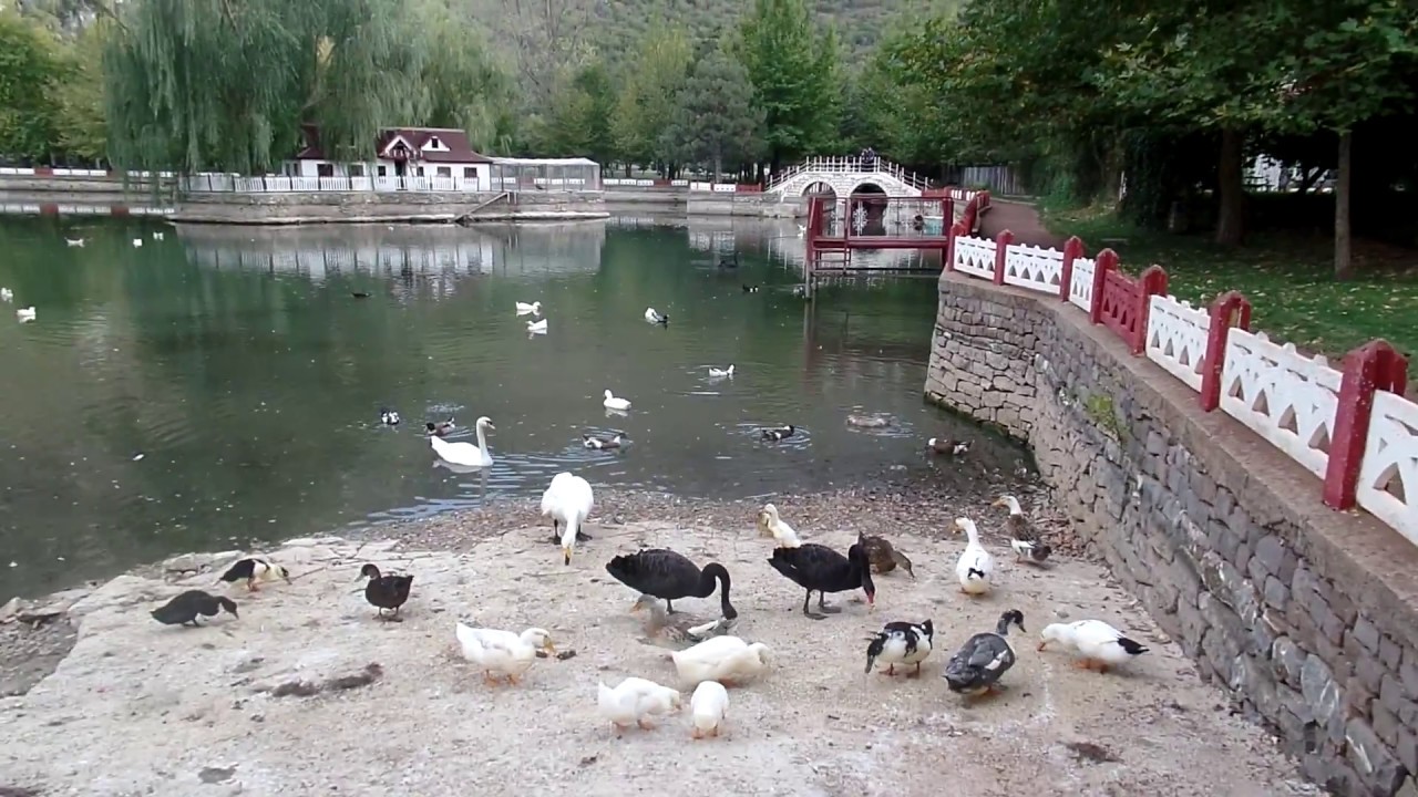 Seydişehir Kuğulu Park