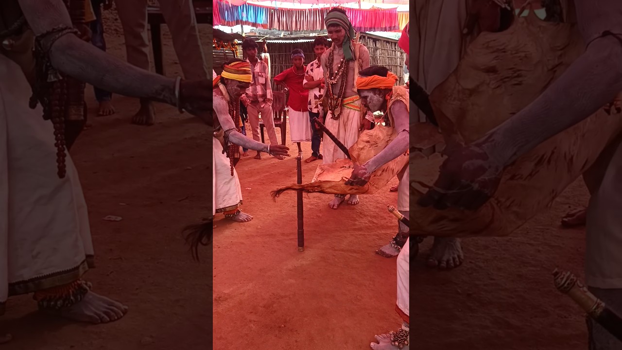 New gondi song video 2025