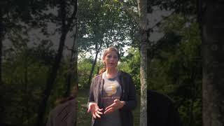Fall CSA: What to expect in your share