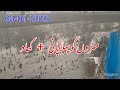 Matar Ki Fasal Ka Pehla Pani | Fertilizer Aur Fungicide Ka Behtareen Istemaal