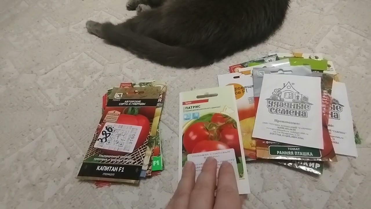 Мой выбор семян томатов на 2026 год