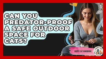 Can You Predator-proof A Safe Outdoor Space For Cats? - Happy Cat Handbook