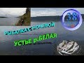 РЫБАЛКА С НОЧЕВКОЙ, УСТЬЕ Р.БЕЛАЯ