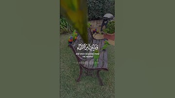 ماشاء الله" تلاوة جميلة قرآن كريم حالات واتس اب دينية 💛