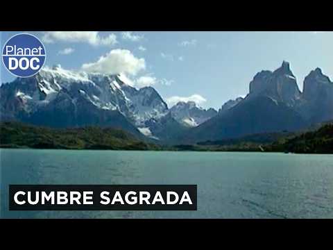 El Ave gigante de los Andes: El vuelo del Cóndor en Torres del Paine | Planet DOC