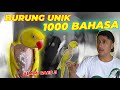 #EPS02 BURUNG JUSTIANA HALIM | G!LAA !! BURUNG UNIK INI BISA 1000 BAHASA