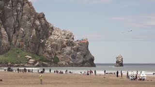 Morro Bay Kite Festival draws locals, visitors, and kite flyers to the beach