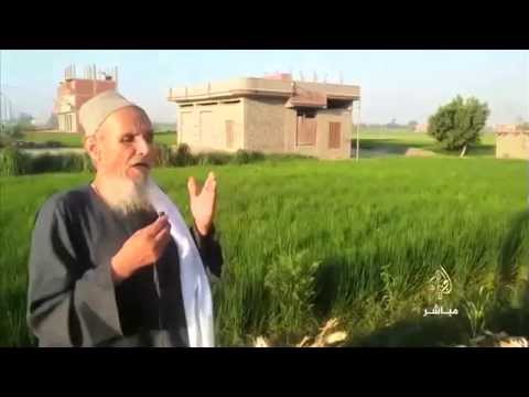 فلاح مصري : "لو مصدرتوش الأرز..هنسيب بقية الشعب اللي هيموت من الجوع يطلع عليكم ياكلكم"