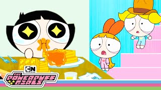NEW ROOMMATE?! 🏠😱 | Powerpuff Girls | Cartoon Network