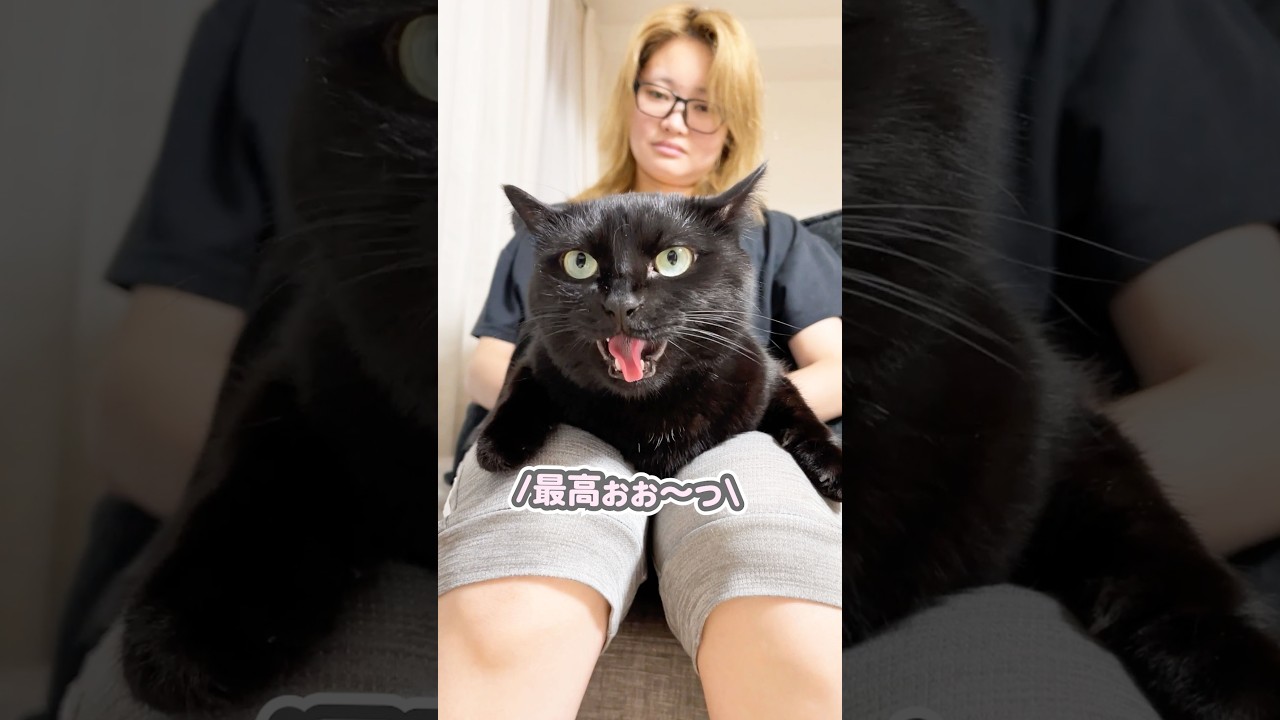 「最高よぉぉ〜っ！」と叫びながら、大好きなママに甘える猫