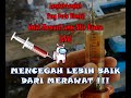 Cara Merawat Dan Mencegah Penyakit Lembu Lumpy Skin Disease LSD || PART 2