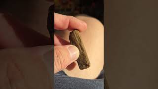 this here looks to be a petrified mini 2x4.