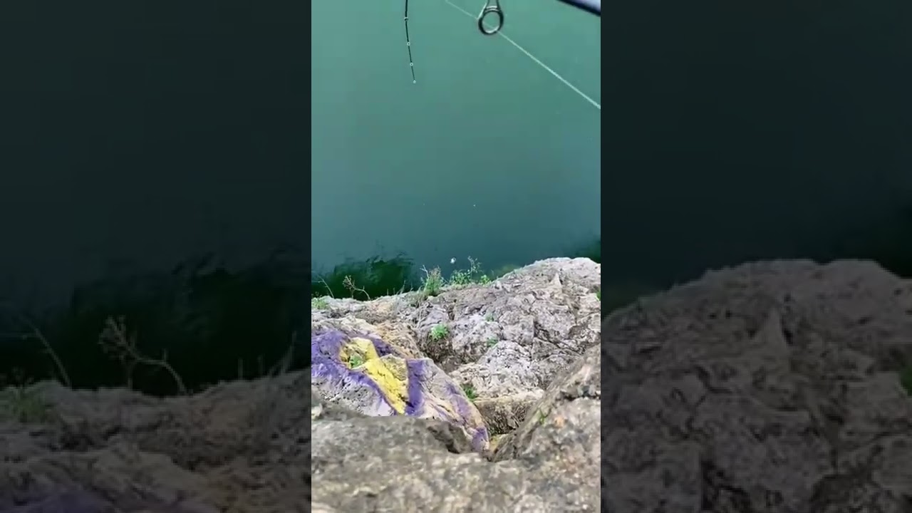 BIG PROBLEM WHEN FISHING!