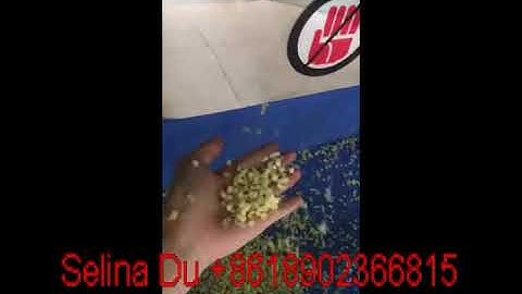 CD-800 Ginger Dicing Cube Machine (4x4x4mm)