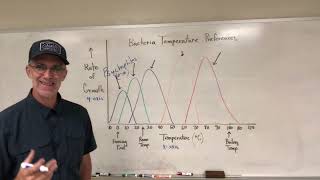 Bacteria Temperature Preferences